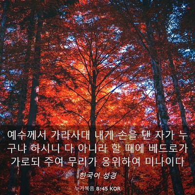 Picture 03 - 누가복음 8:45 KOR - 예수께서 가라사대 내게 손을 댄 - Bible Verse Picture