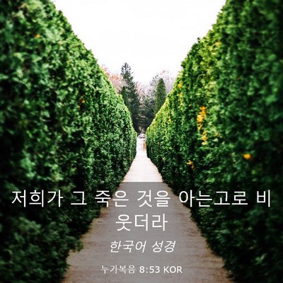 Picture 03 - 누가복음 8:53 KOR - 저희가 그 죽은 것을 아는고로 - Bible Verse Picture