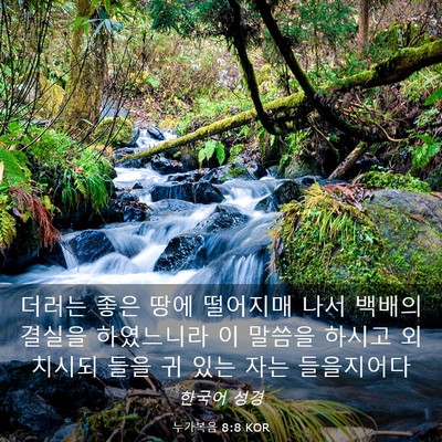Picture 03 - 누가복음 8:8 KOR - 더러는 좋은 땅에 떨어지매 나서 - Bible Verse Picture
