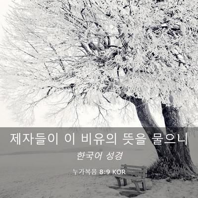 Picture 03 - 누가복음 8:9 KOR - 제자들이 이 비유의 뜻을 - Bible Verse Picture