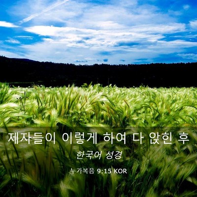 Picture 03 - 누가복음 9:15 KOR - 제자들이 이렇게 하여 다 앉힌 - Bible Verse Picture