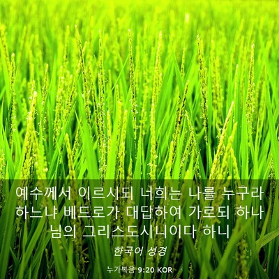 Picture 03 - 누가복음 9:20 KOR - 예수께서 이르시되 너희는 나를 - Bible Verse Picture