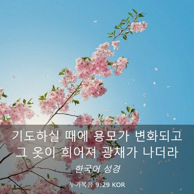 Picture 03 - 누가복음 9:29 KOR - 기도하실 때에 용모가 변화되고 그 - Bible Verse Picture