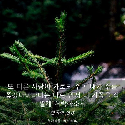 Picture 03 - 누가복음 9:61 KOR - 또 다른 사람이 가로되 주여 내가 - Bible Verse Picture