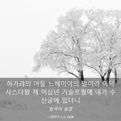 Picture 03 - 느헤미야 1:1 KOR - 하가랴의 아들 느헤미야의 말이라 - Bible Verse Picture