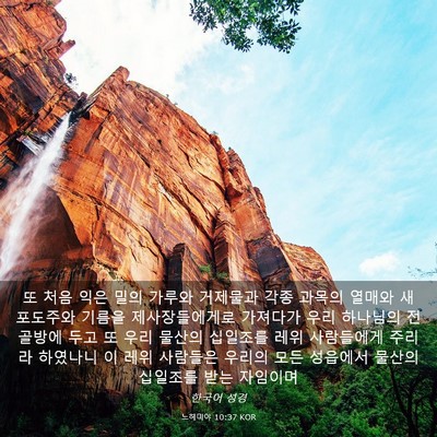 Picture 03 - 느헤미야 10:37 KOR - 또 처음 익은 밀의 가루와 거제물과 - Bible Verse Picture