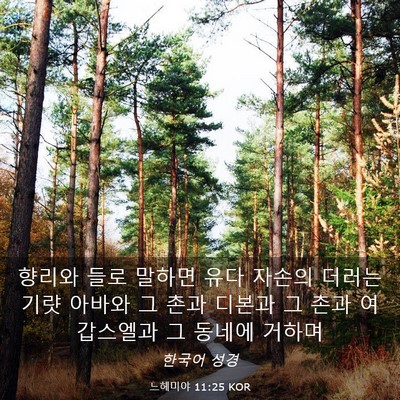 Picture 03 - 느헤미야 11:25 KOR - 향리와 들로 말하면 유다 자손의 - Bible Verse Picture
