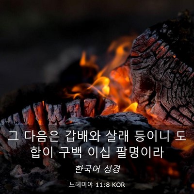 Picture 03 - 느헤미야 11:8 KOR - 그 다음은 갑배와 살래 등이니 - Bible Verse Picture