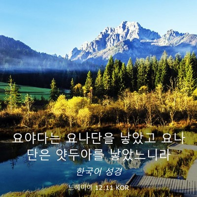 Picture 03 - 느헤미야 12:11 KOR - 요야다는 요나단을 낳았고 요나단은 - Bible Verse Picture