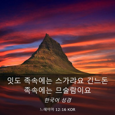 Picture 03 - 느헤미야 12:16 KOR - 잇도 족속에는 스가랴요 긴느돈 - Bible Verse Picture