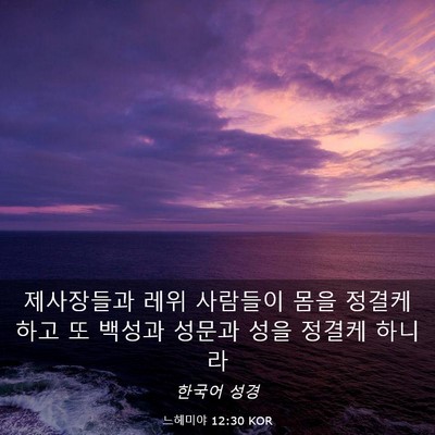 Picture 03 - 느헤미야 12:30 KOR - 제사장들과 레위 사람들이 몸을 - Bible Verse Picture