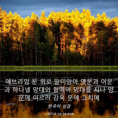 Picture 03 - 느헤미야 12:39 KOR - 에브라임 문 위로 말미암아 옛문과 - Bible Verse Picture