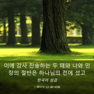 Picture 03 - 느헤미야 12:40 KOR - 이에 감사 찬송하는 두 떼와 나와 - Bible Verse Picture