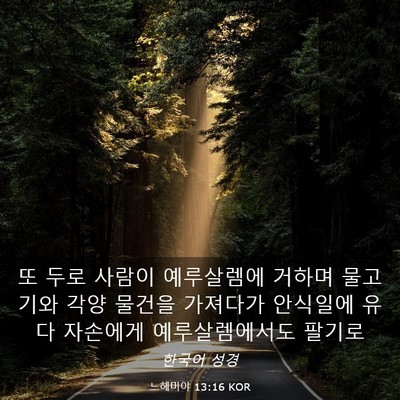 Picture 03 - 느헤미야 13:16 KOR - 또 두로 사람이 예루살렘에 거하며 - Bible Verse Picture