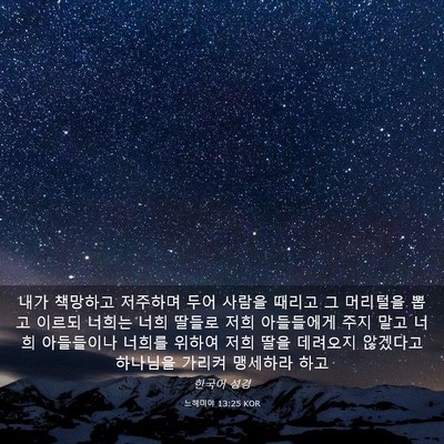 Picture 03 - 느헤미야 13:25 KOR - 내가 책망하고 저주하며 두어 사람을 - Bible Verse Picture