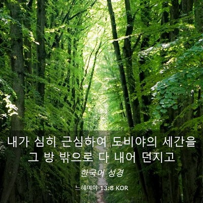 Picture 03 - 느헤미야 13:8 KOR - 내가 심히 근심하여 도비야의 세간을 - Bible Verse Picture