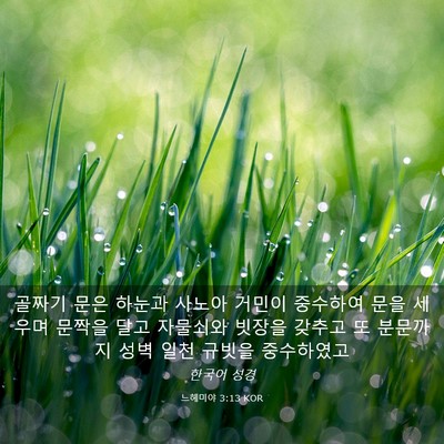 Picture 03 - 느헤미야 3:13 KOR - 골짜기 문은 하눈과 사노아 거민이 - Bible Verse Picture