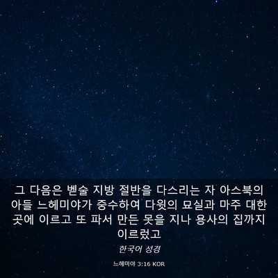 Picture 03 - 느헤미야 3:16 KOR - 그 다음은 벧술 지방 절반을 - Bible Verse Picture