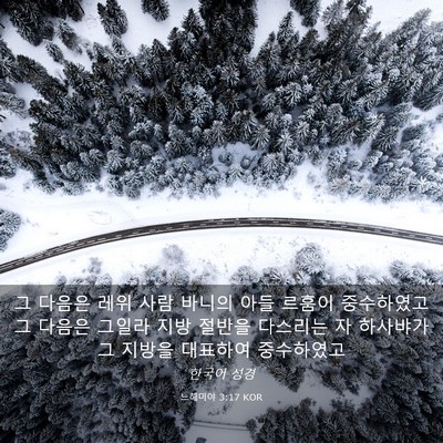 Picture 03 - 느헤미야 3:17 KOR - 그 다음은 레위 사람 바니의 아들 - Bible Verse Picture