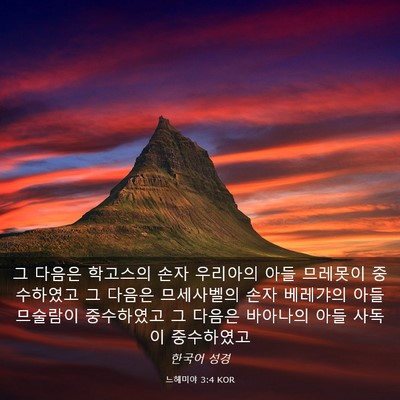 Picture 03 - 느헤미야 3:4 KOR - 그 다음은 학고스의 손자 우리아의 - Bible Verse Picture