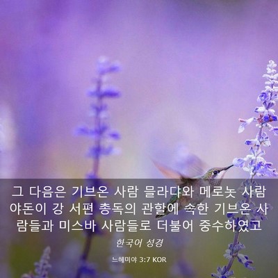 Picture 03 - 느헤미야 3:7 KOR - 그 다음은 기브온 사람 믈라댜와 - Bible Verse Picture