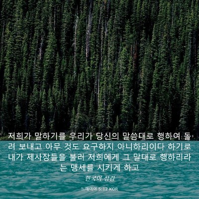 Picture 03 - 느헤미야 5:12 KOR - 저희가 말하기를 우리가 당신의 - Bible Verse Picture
