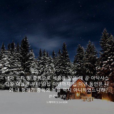Picture 03 - 느헤미야 5:14 KOR - 내가 유다 땅 총독으로 세움을 받은 - Bible Verse Picture