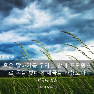 Picture 03 - 느헤미야 5:4 KOR - 혹은 말하기를 우리는 밭과 - Bible Verse Picture