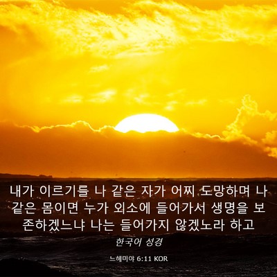 Picture 03 - 느헤미야 6:11 KOR - 내가 이르기를 나 같은 자가 어찌 - Bible Verse Picture