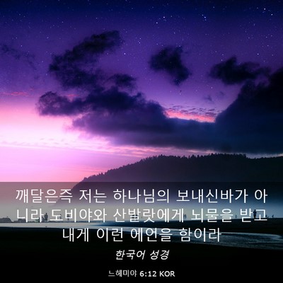 Picture 03 - 느헤미야 6:12 KOR - 깨달은즉 저는 하나님의 보내신바가 - Bible Verse Picture