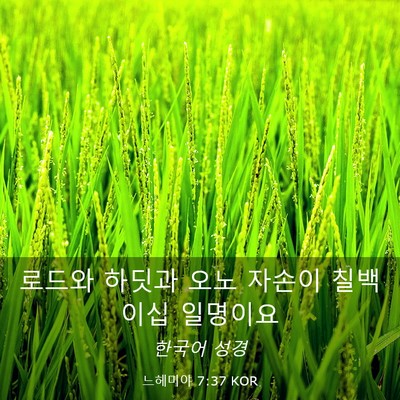 Picture 03 - 느헤미야 7:37 KOR - 로드와 하딧과 오노 자손이 칠백 - Bible Verse Picture