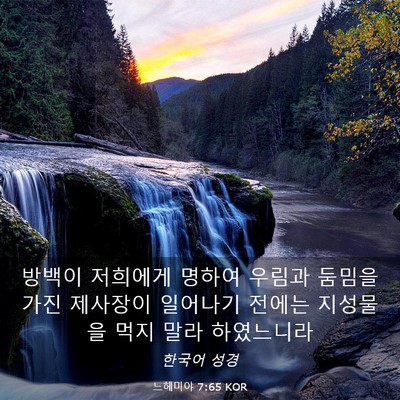 Picture 03 - 느헤미야 7:65 KOR - 방백이 저희에게 명하여 우림과 - Bible Verse Picture