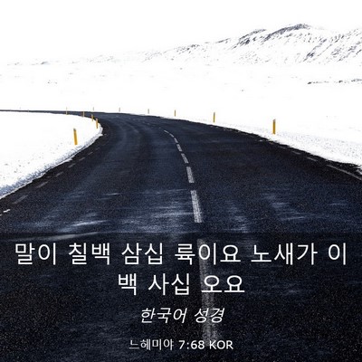 Picture 03 - 느헤미야 7:68 KOR - 말이 칠백 삼십 륙이요 노새가 이백 - Bible Verse Picture