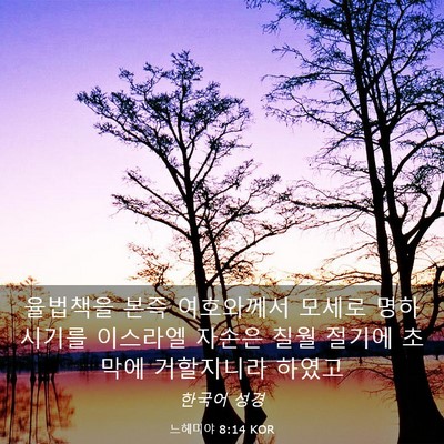 Picture 03 - 느헤미야 8:14 KOR - 율법책을 본즉 여호와께서 모세로 - Bible Verse Picture