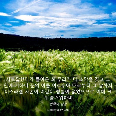 Picture 03 - 느헤미야 8:17 KOR - 사로잡혔다가 돌아온 회 무리가 다 - Bible Verse Picture