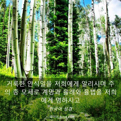 Picture 03 - 느헤미야 9:14 KOR - 거룩한 안식일을 저희에게 알리시며 - Bible Verse Picture
