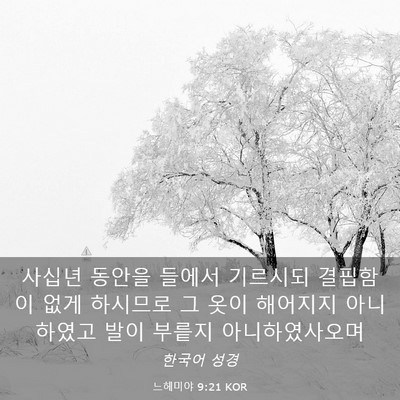 Picture 03 - 느헤미야 9:21 KOR - 사십년 동안을 들에서 기르시되 - Bible Verse Picture