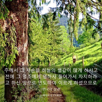 Picture 03 - 느헤미야 9:23 KOR - 주께서 그 자손을 하늘의 별같이 - Bible Verse Picture