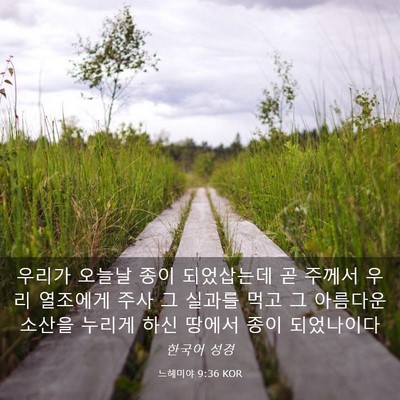 Picture 03 - 느헤미야 9:36 KOR - 우리가 오늘날 종이 되었삽는데 곧 - Bible Verse Picture