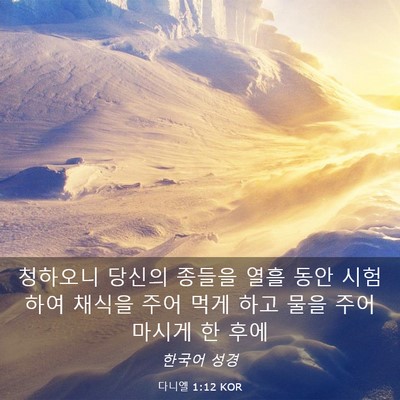 Picture 03 - 다니엘 1:12 KOR - 청하오니 당신의 종들을 열흘 동안 - Bible Verse Picture