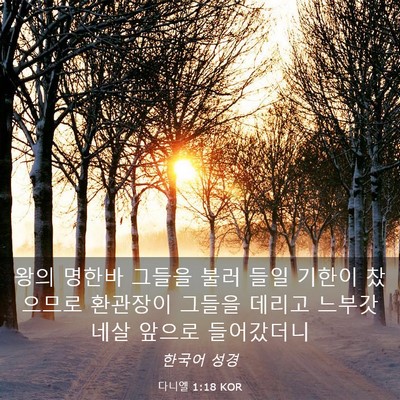 Picture 03 - 다니엘 1:18 KOR - 왕의 명한바 그들을 불러 들일 - Bible Verse Picture