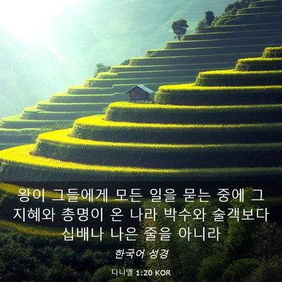Picture 03 - 다니엘 1:20 KOR - 왕이 그들에게 모든 일을 묻는 중에 - Bible Verse Picture