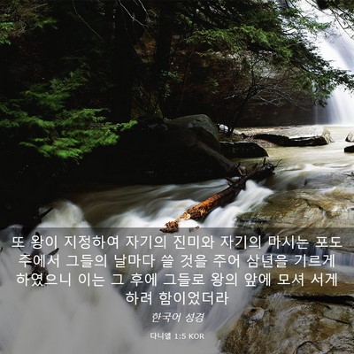 Picture 03 - 다니엘 1:5 KOR - 또 왕이 지정하여 자기의 진미와 - Bible Verse Picture