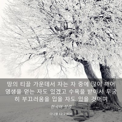 Picture 03 - 다니엘 12:2 KOR - 땅의 티끌 가운데서 자는 자 중에 - Bible Verse Picture