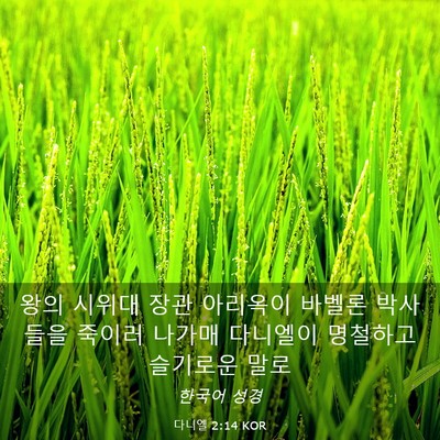 Picture 03 - 다니엘 2:14 KOR - 왕의 시위대 장관 아리옥이 바벨론 - Bible Verse Picture