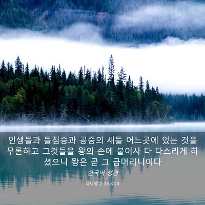 Picture 03 - 다니엘 2:38 KOR - 인생들과 들짐승과 공중의 새들 - Bible Verse Picture