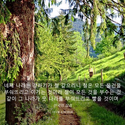 Picture 03 - 다니엘 2:40 KOR - 네째 나라는 강하기가 철 같으리니 - Bible Verse Picture