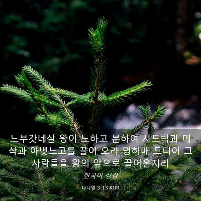 Picture 03 - 다니엘 3:13 KOR - 느부갓네살 왕이 노하고 분하여 - Bible Verse Picture