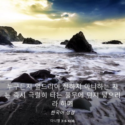 Picture 03 - 다니엘 3:6 KOR - 누구든지 엎드리어 절하지 아니하는 - Bible Verse Picture