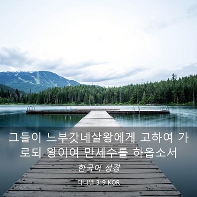 Picture 03 - 다니엘 3:9 KOR - 그들이 느부갓네살왕에게 고하여 - Bible Verse Picture